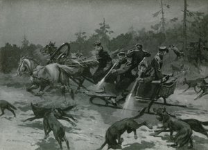 Une chasse au loup