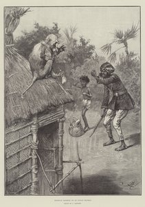 Vol sur la route par un singe indien - Frederick Barnard
