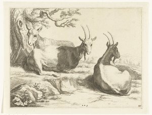 Chèvres
