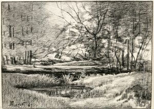 Piscine dans les Adirondacks - Frederick Eugene Bartlett
