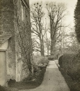 Manoir de Kelmscott : Dans le jardin