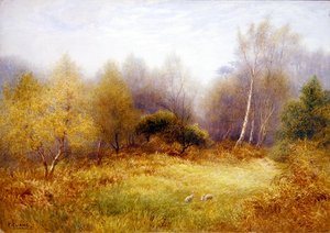Lapins dans une clairière forestière