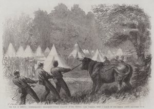 La Guerre en Amérique, Département du Quartier-Maître, abattage de bœufs dans le camp fédéral, Virginie - Frederick John Skill