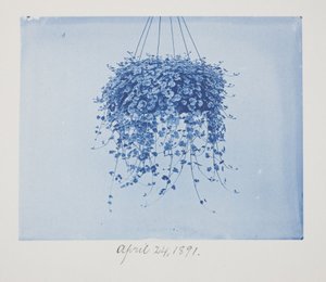 Sans titre, 24 avril