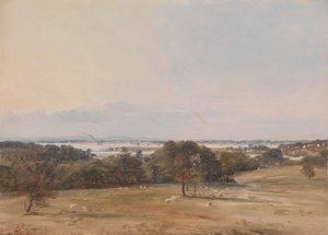 Eau de Southampton, près de Hamble