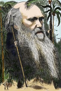 Charles DARWIN (1809-1882) caricature de F. Waddy dans « Once A Week » de 1873