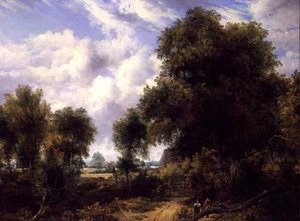 Paysage boisé