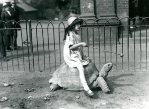 Une petite fille, Betty, tend un bâton avec une pomme au bout pour guider la tortue géante qu