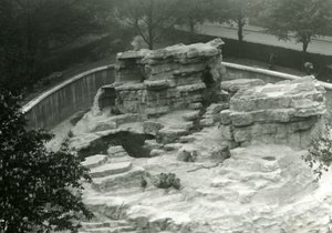 Colline des singes vue du sommet des terrasses Mappin, zoo de Londres