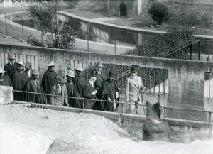 Sir Peter Chalmers Mitchell avec le régent éthiopien Haile Selassie et son entourage, observant un ours brun sur les terrasses Mappin, Zoo de Londres