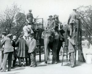 Visiteurs faisant la queue pour une promenade à dos d