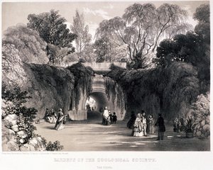 Jardins zoologiques, Regent