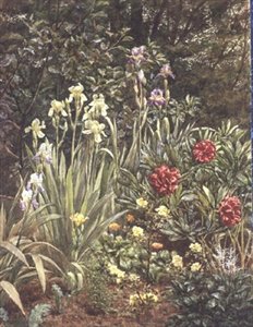 Un coin du jardin - Frederick William Jackson