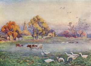 Les Champs de l