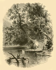 Branche nord de la Susquehanna, à Hunlocks, 1874