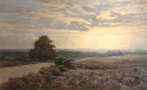 Burley Road - Frederik Golden Short