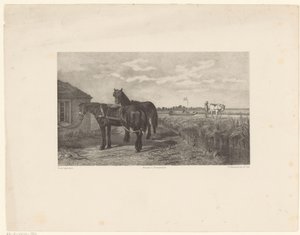 Deux chevaux devant une grange