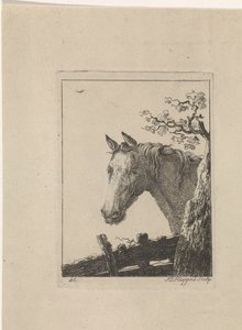 Tête de cheval
