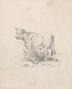 Taureau - Frederik Lodewijk Huygens