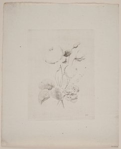Motif floral - Frederik Schepelern