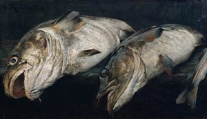Morue - Fredrik Kolstoe