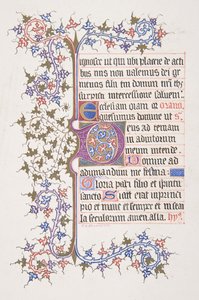 Feuille illuminée avec initiale E recto, bordure de vigne verso