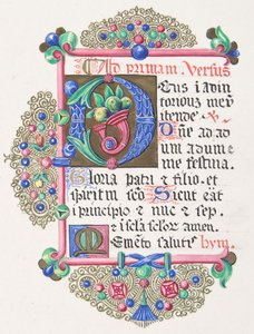 Lettre illuminée D dans une bordure décorée
