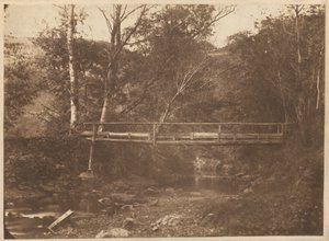 Paysage avec arbres et pont