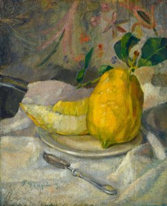 Melon et citron