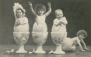 Bébés éclosant d