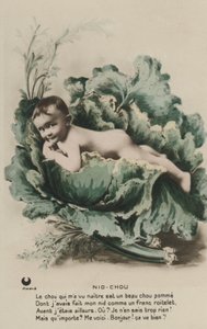 Bébé dans un chou