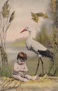 Bébé avec une cigogne