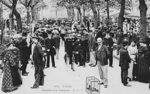 Marché aux oiseaux, Paris