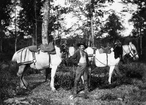 Bûcheron avec ses chevaux, dans les environs de Bourmont en Haute-Marne (Collection Ducos)