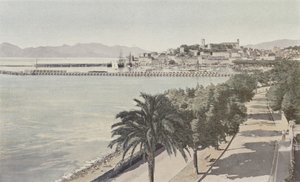 Cannes, Port et Ville ancienne, Boulevard de la Croisette - French Photographer