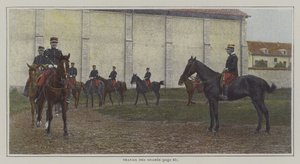 Cavaliers en entraînement