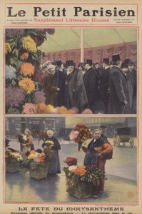 Chrysanthèmes