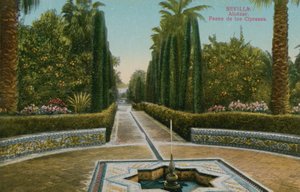 Promenade des Cyprès, Alcazar, à Séville, Espagne