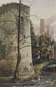 Fontenay-Trésigny, Ruines du château du Vivier-en-Brie