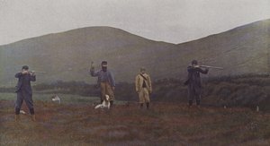 Chasse au tétras en Écosse - French Photographer