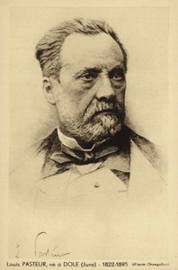 Louis Pasteur (1822-1895), chimiste et microbiologiste français - French Photographer