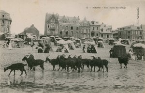 Mers - une partie de la plage