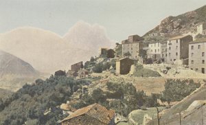Ota et le Capo d
