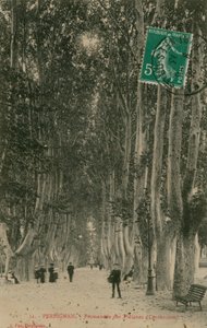 Promenade des Platanes à Perpignan - French Photographer