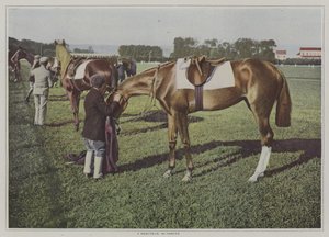 Chevaux de course à Deauville, France - French Photographer