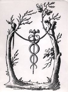 Un caducée