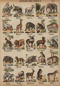 De A à Z des animaux