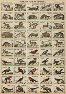 De A à Z des animaux et des oiseaux