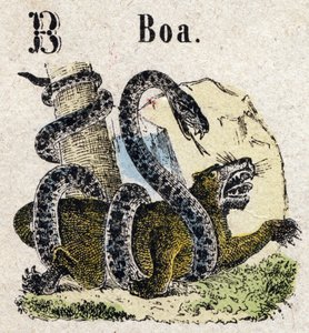Abécédaire. Lettre B comme Boa. Petit alphabet encyclopédique, série populaire. Imagerie d