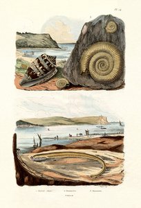 Amiral Cone, 1833-39